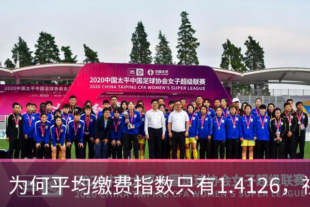 为何平均缴费指数只有1.4126，视同缴费指数却高达2.9753？