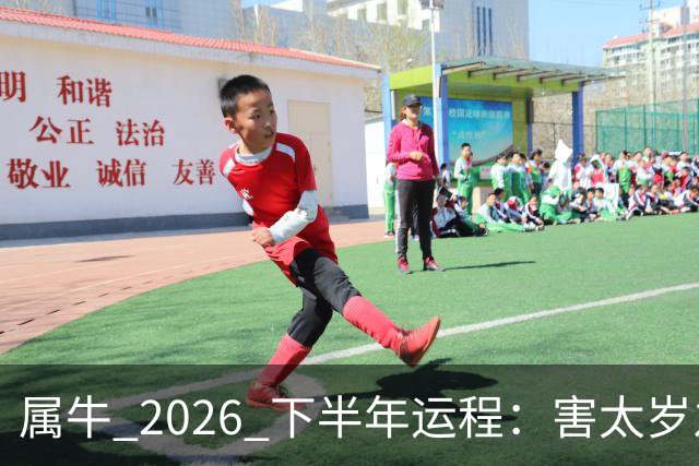 属牛 2026 下半年运程：害太岁之年，能否翻身，有没有横财运？